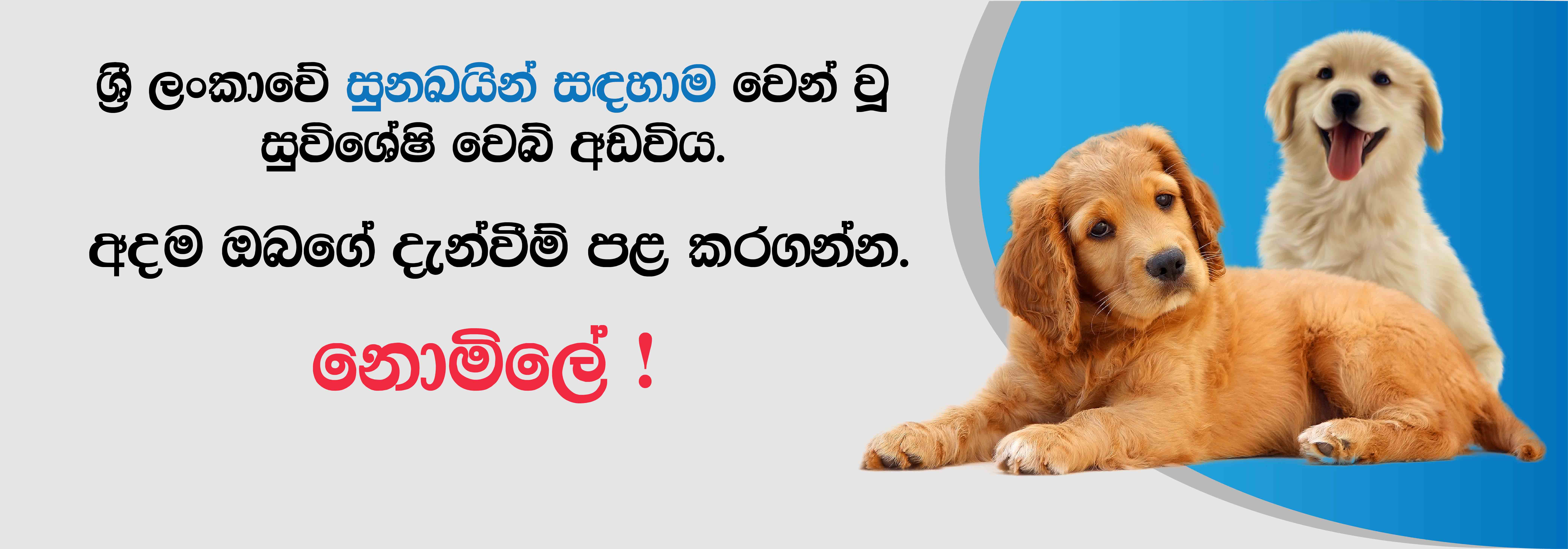 dogslk free post ad banner